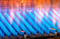 Roberton gas fired boilers